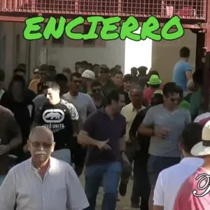 Encierro y dos toros de las Fiestas del Rosario 2017