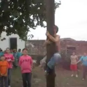Juego de la cucaña 2009