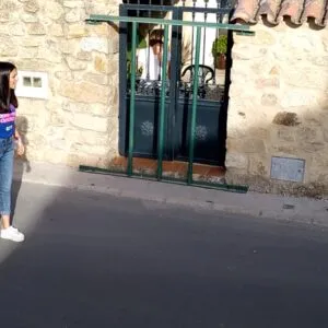 Encierro del lunes (Fiestas del Rosario 2019)