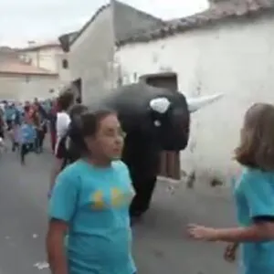 Capea infantil, Fiestas del Rosario 2010