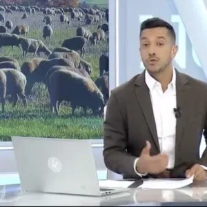 Los vecinos de Huertas de Ánimas han vivido con emoción la llegada del rebaño de ovejas de los Serrano (2025)
