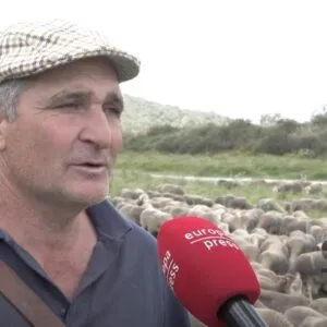 Un pastor extremeño recorre 600 kilómetros con sus 1.500 ovejas para pasar el verano en León (2024)
