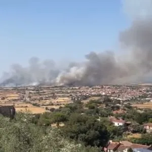 Declarado un incendio forestal en Huertas de Animas